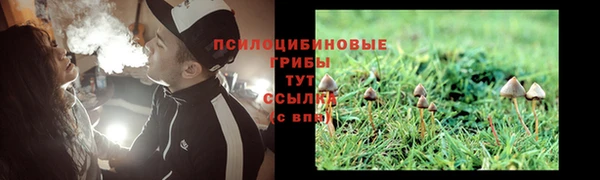 мяу мяу мука Нефтекумск