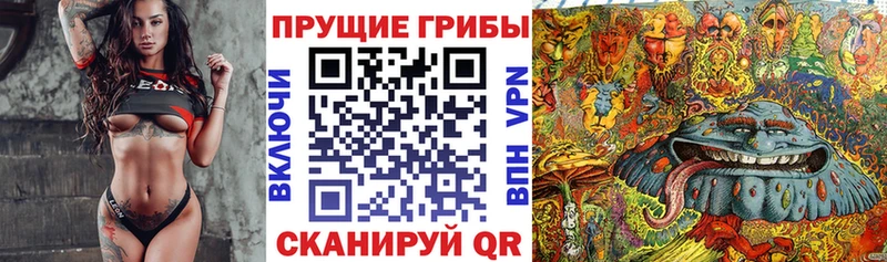 блэк спрут зеркало  даркнет сайт  Яровое  Псилоцибиновые грибы Magic Shrooms 